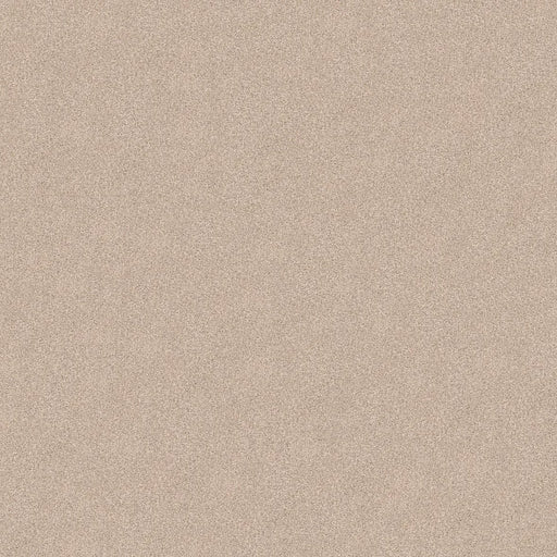 Shaw Floors - Carpet - COMFORTING I - Shadow