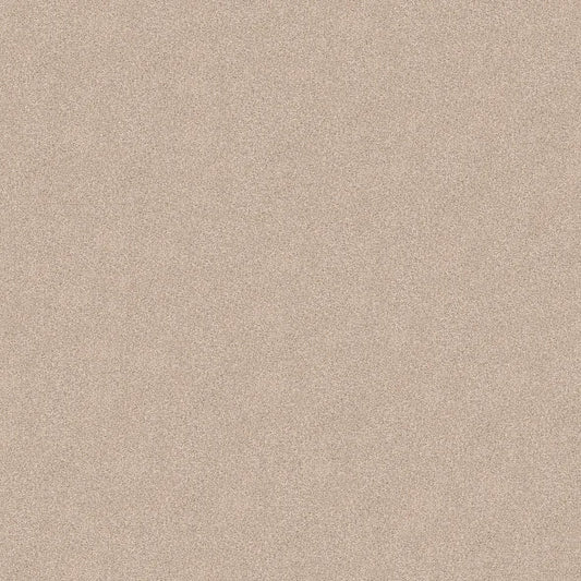 Shaw Floors - Carpet - COMFORTING II - Shadow