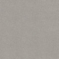 Shaw Floors - Carpet - COMFORTING II - Shimmer