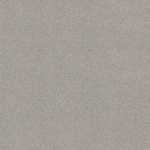 Shaw Floors - Carpet - COMFORTING I - Shimmer