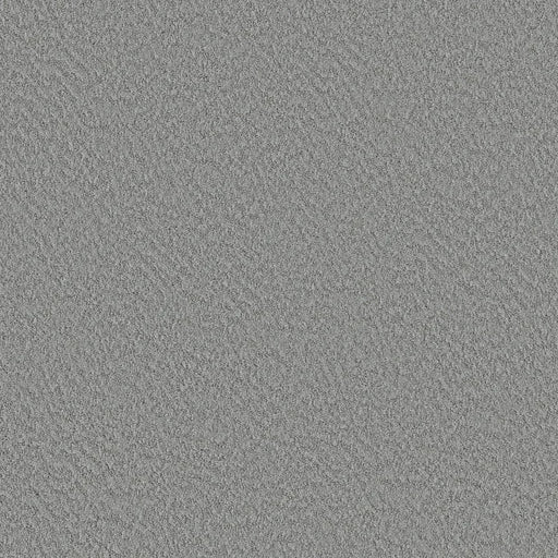 Shaw Floors - Carpet - Foundations Collection  - Alluring Canvas - Sentimental