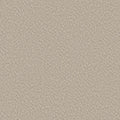 Shaw Floors - Carpet - Foundations Collection  - Alluring Canvas - Sandstone
