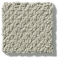 Shaw Floors - Carpet- Foundations Collection - Slate
