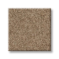 Shaw Floors - Carpet - COMFORTING I - Studio
