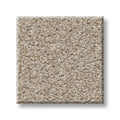 Shaw Floors - Carpet - Simply The Best  - TRUSOLUTIONS III - Sand