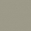 Shaw Floors - Carpet - COMFORTING I - Sage Brush