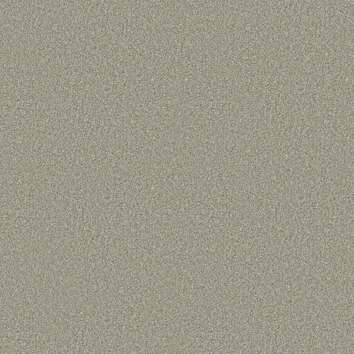 Shaw Floors - Carpet - COMFORTING I - Sage Brush