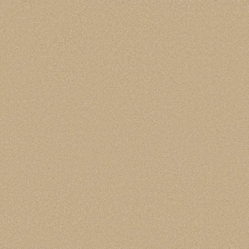 Shaw Floors - Carpet - Classics Collection  - Awaken Spirit II -  12' - Sugar Cookie