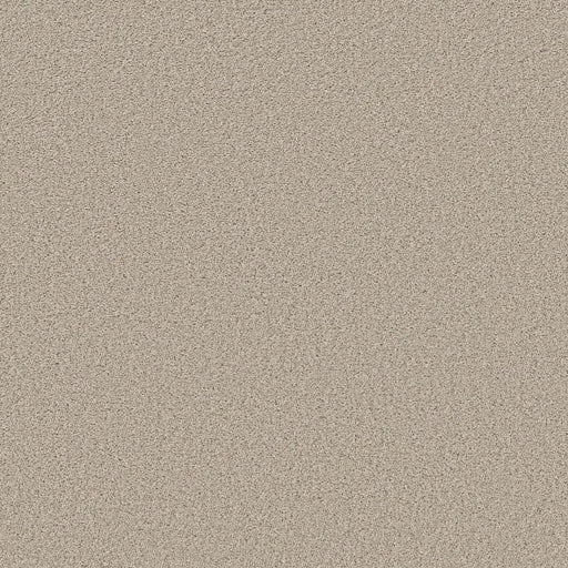 Shaw Floors - Carpet - Simply The Best  - TRUSOLUTIONS III - Sugar Cookie