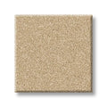 Shaw Floors - Carpet - Classics Collection  - Awaken Spirit I 12' - Sugar Cookie