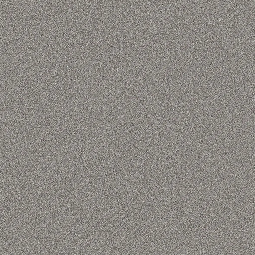 Shaw Floors - Carpet - Simply The Best  - TRUSOLUTIONS III - Storm Cloud