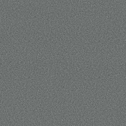 Shaw Floors - Carpet - COMFORTING I - Storm Cloud