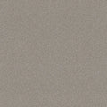 Shaw Floors - Carpet - Simply The Best  - Attainable - Soft Fleece