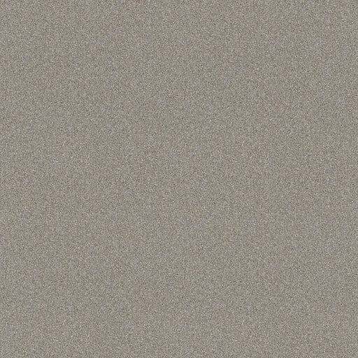 Shaw Floors - Carpet - Simply The Best  - Attainable - Soft Fleece