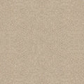 Shaw Floors - Carpet - Foundations Collection  - Alluring Canvas - Sun Kissed