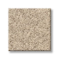 Shaw Floors - Carpet - Foundations Collection  - Alluring Canvas - Sun Kissed