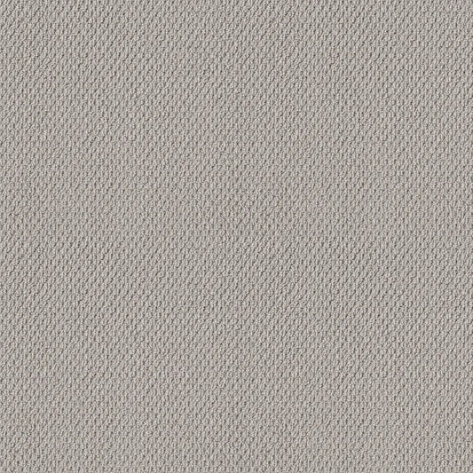 Shaw Floors - Carpet - Foundations Collection - Faint Intent - Silver Lining