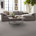 Shaw Floors - Carpet - Foundations Collection - Faint Intent - Silver Lining