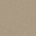 Shaw Floors - Carpet - Simply The Best  - TRUSOLUTIONS III - Sheer Natural