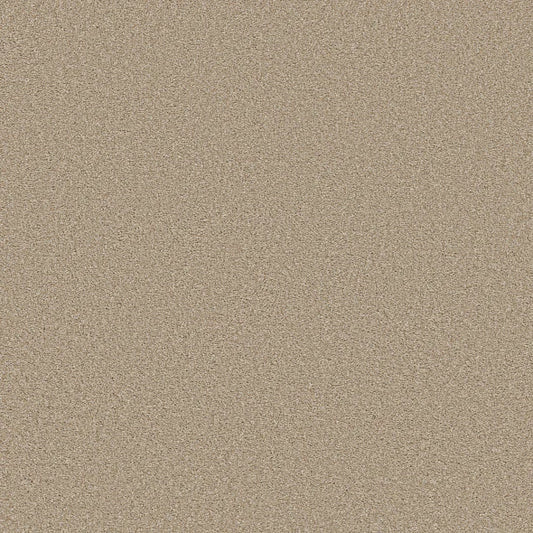 Shaw Floors - Carpet - Simply The Best  - TRUSOLUTIONS III - Sheer Natural