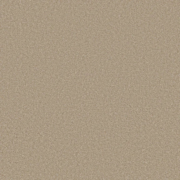 Shaw Floors - Carpet - Simply The Best  - TRUSOLUTIONS III - Sheer Natural