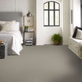 Shaw Floors - Carpet - Simply The Best  - TRUSOLUTIONS III - Stone Path