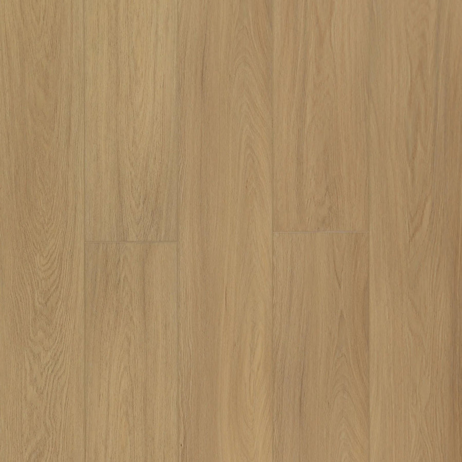 Monterey - Duranova Collection - Sunlit Pine