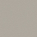 Shaw Floors - Carpet - Foundations Collection  - Alluring Canvas - Split Sediment
