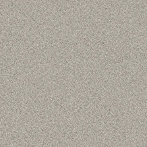 Shaw Floors - Carpet - Foundations Collection  - Alluring Canvas - Split Sediment