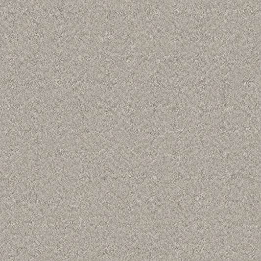 Shaw Floors - Carpet - Foundations Collection  - Alluring Canvas - Split Sediment