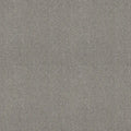 Shaw Floors - Carpet - COMFORTING II - Stepping Stone
