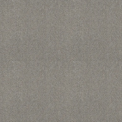 Shaw Floors - Carpet - COMFORTING I - Stepping Stone