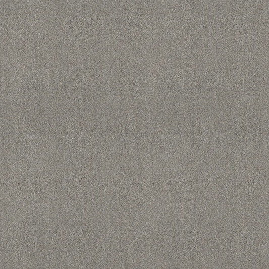 Shaw Floors - Carpet - COMFORTING II - Stepping Stone