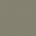 Shaw Floors - Carpet - Classics Collection  - Awaken Spirit II - 12' - Silver Sage