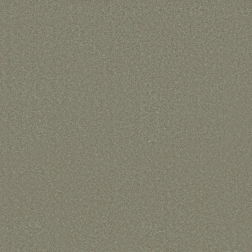 Shaw Floors - Carpet - Classics Collection  - Awaken Spirit I 12' - Silver Sage