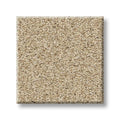 Shaw Floors - Carpet - COMFORTING II - Sesame Seed
