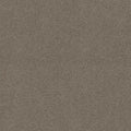 Shaw Floors - Carpet - Simply The Best  - Attainable - Smooth Taupe