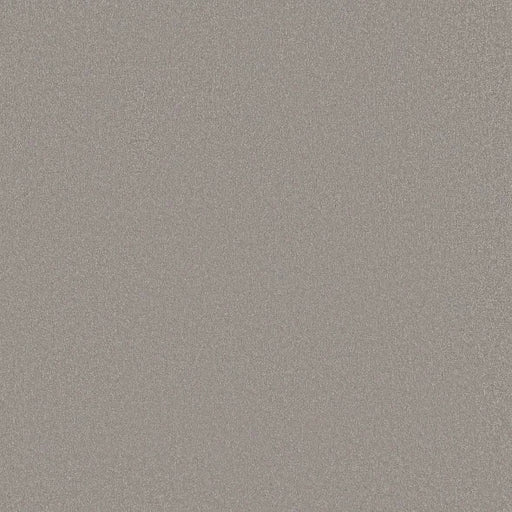 Shaw Floors - Carpet - Classics Collection  - Awaken Spirit I 12' - Subtle Touch