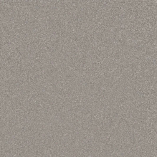Shaw Floors - Carpet - Classics Collection  - Awaken Spirit II - 15' - Subtle Touch