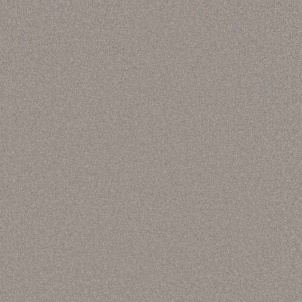Shaw Floors - Carpet - Classics Collection  - Awaken Spirit I 12' - Subtle Touch