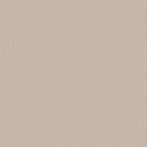 Shaw Floors - Carpet - Classics Collection  - Awaken Spirit I 12' - Spun Wool