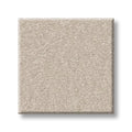 Shaw Floors - Carpet - Classics Collection  - Awaken Spirit I 12' - Spun Wool