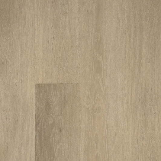 Grandeur Flooring - Anchor 7 Collection - Sambro