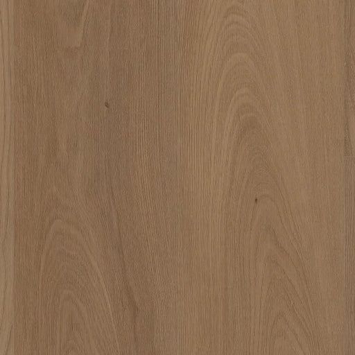 COREtec - Pro Plus XL Enhanced - San Marino Elm