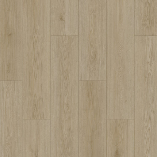 Caledon - Aqua X Collection - Sand Dune