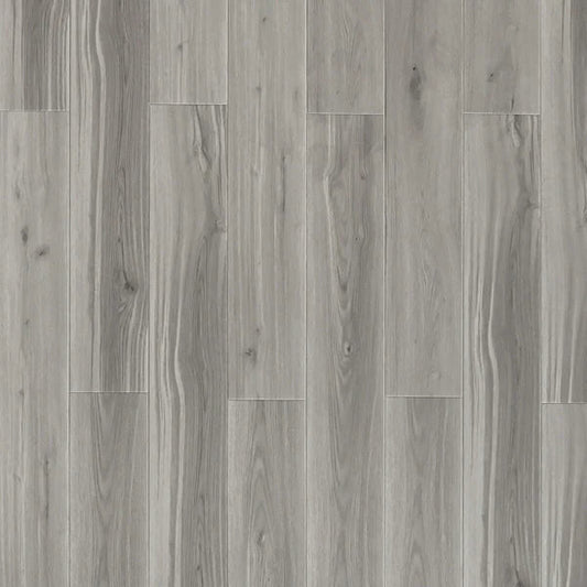 Toucan - SPC903 - Sawn Maple