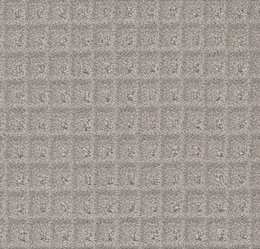 Primco - Estates Carpet - Cadence Collection - Lively Gray
