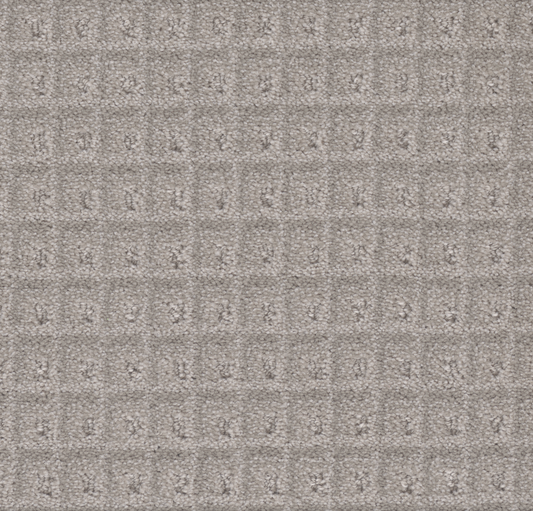 Primco - Estates Carpet - Cadence Collection - Lively Gray