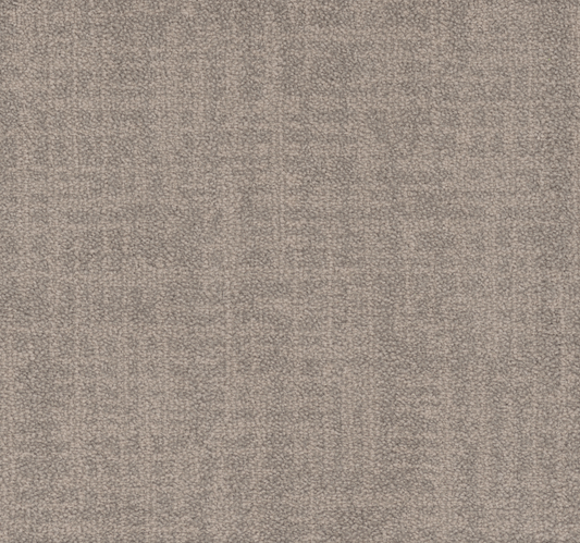 Primco - Estates Carpet - Cambria Collection - Immersed