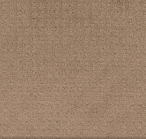 Primco - Estates Carpet - Manhattan Design Collection - Neuron